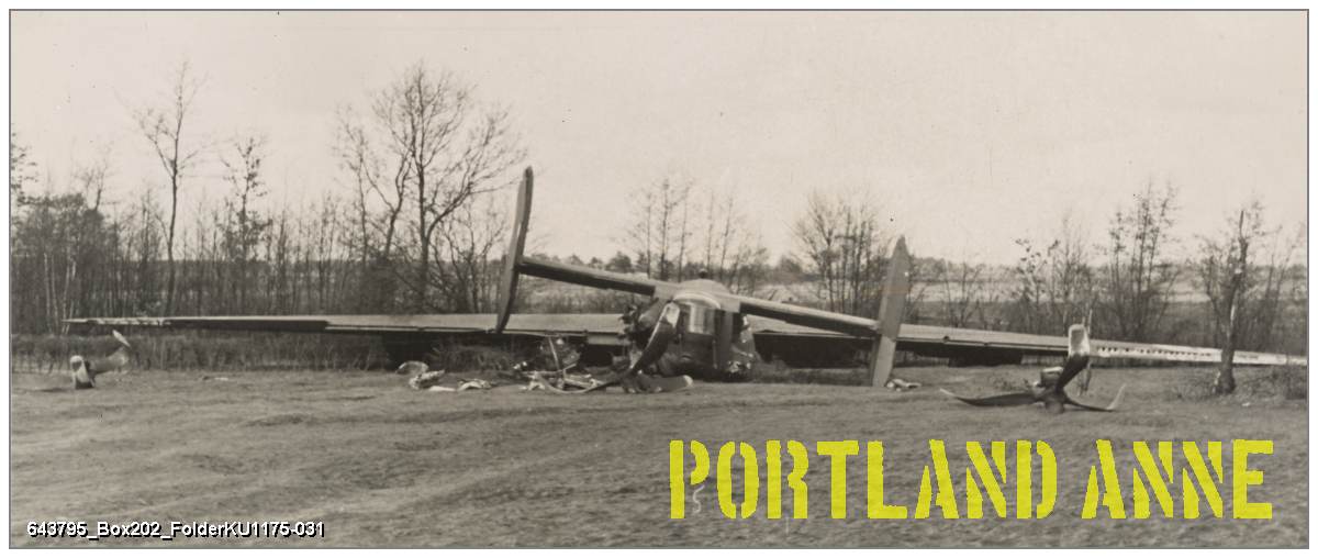 Crash location #42-52175 'P' - Den Oosterhuis - National Archive Catalog - RG 242 NARA, College Park, MD