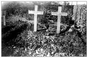 Graves of Moriarty and Goldman - General Cemetery Nieuwleusen