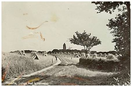 Havelte - postcard - 1945