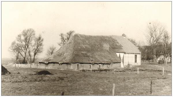 Leeuwte 37 - Farm of Freek van Benthem - photo April 1972 Leeuwte 37 - Farm of Freek van Benthem - photo April 1972