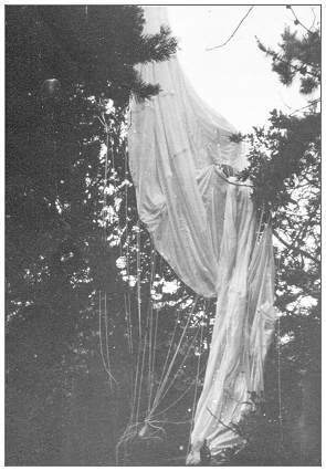 Parachute of Sgt. William John Haslam in tree
