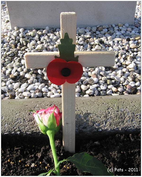 Remembrance Day - with 2nd version op Poppy cross